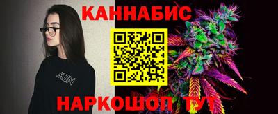 крисы Будённовск