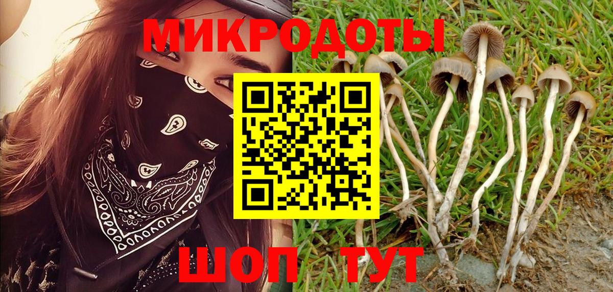 Галлюциногенные грибы Magic Shrooms  купить наркотики сайты  Арзамас  Вход с VPN 